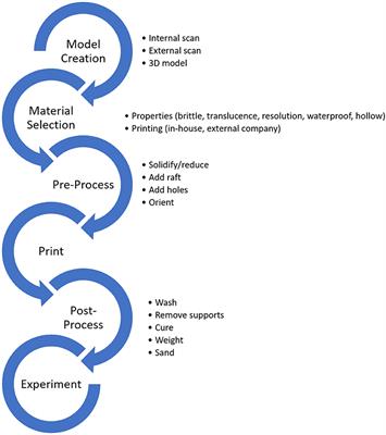 Defossilization: A Review of 3D Printing in Experimental Paleontology